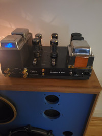 Michaelson &amp; Austin TVA-1 Stereo Power Amplifier