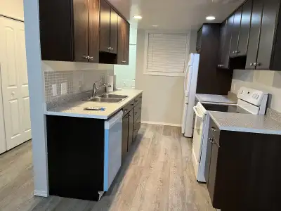 $2850/month + hydro 2 References, Proof of Income, and Photo ID requested. Tenant insurance required...