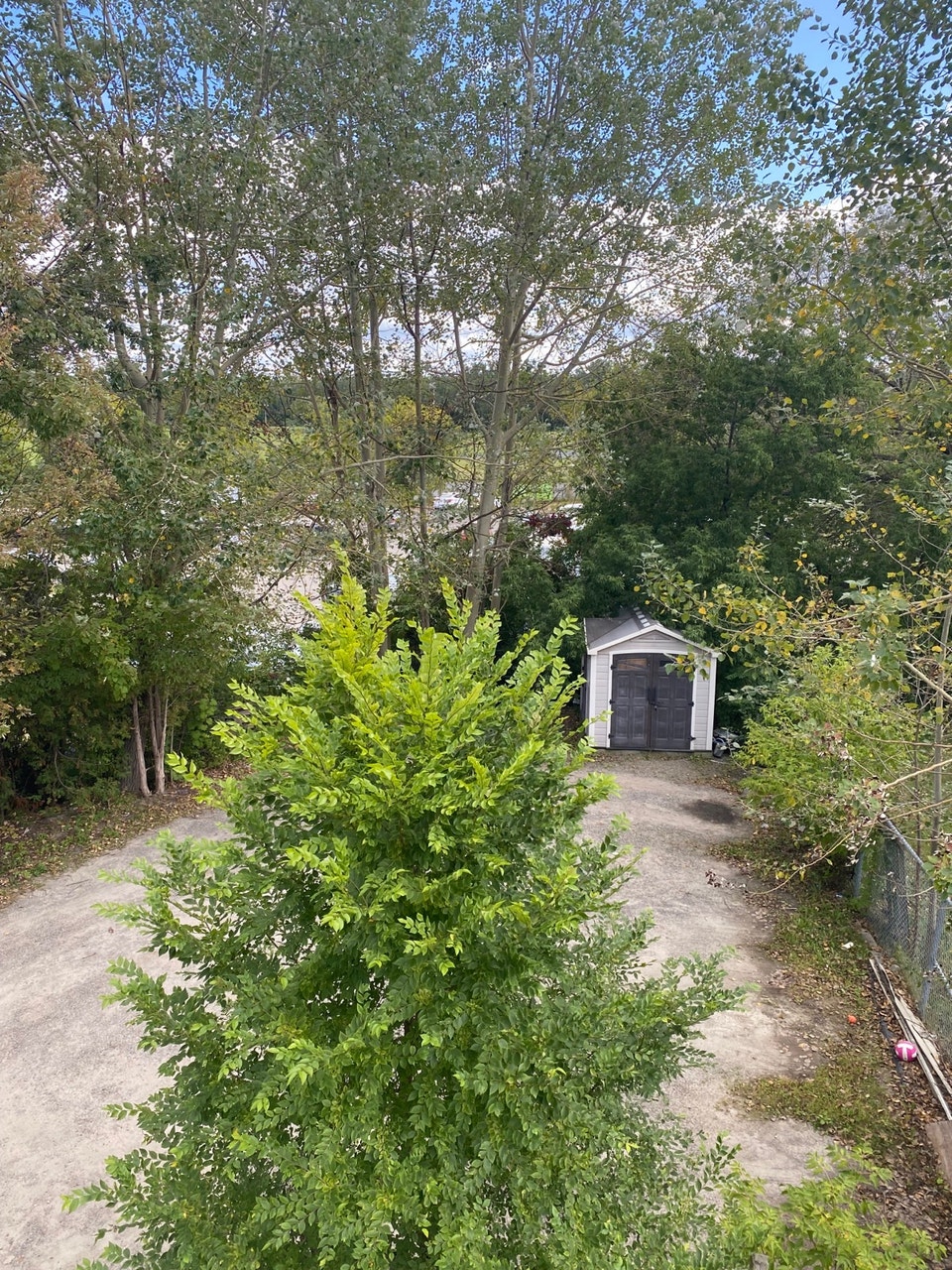 Spacieux 4 1/2, libre $1450/mois  secteur parc labaie Gatineau 2