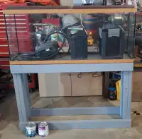 55g fish tank, stand, lid, and filter