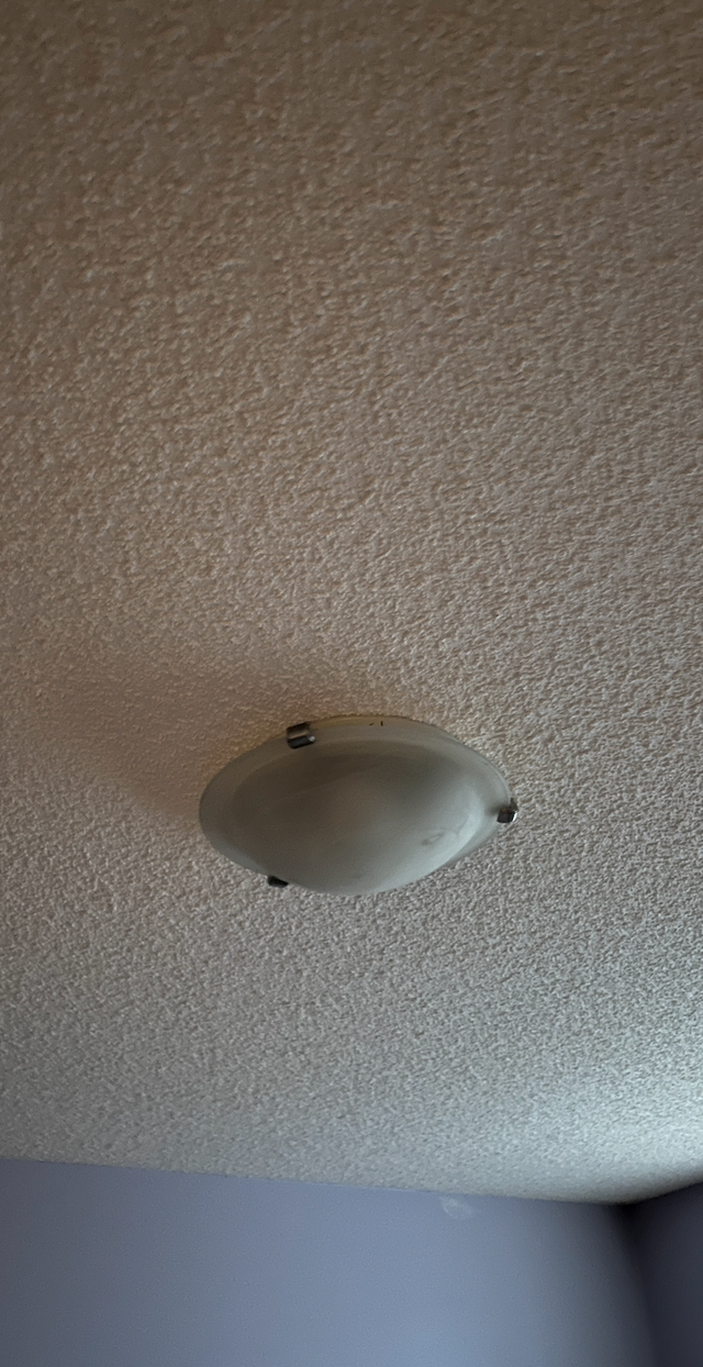 (2) Ceiling lights64026026888579121