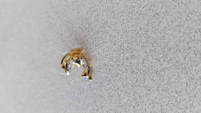 Dolphin Earrings in Jewellery & Watches in Nelson - Image 4