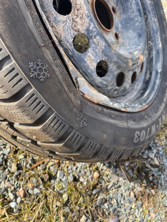 4 Like new 205 / 55 / 16 studded winter tires and 3 rims in Tires & Rims in Truro - Image 4