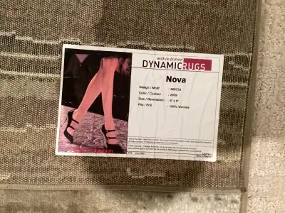 Area rug 6 x 9 $100, View more