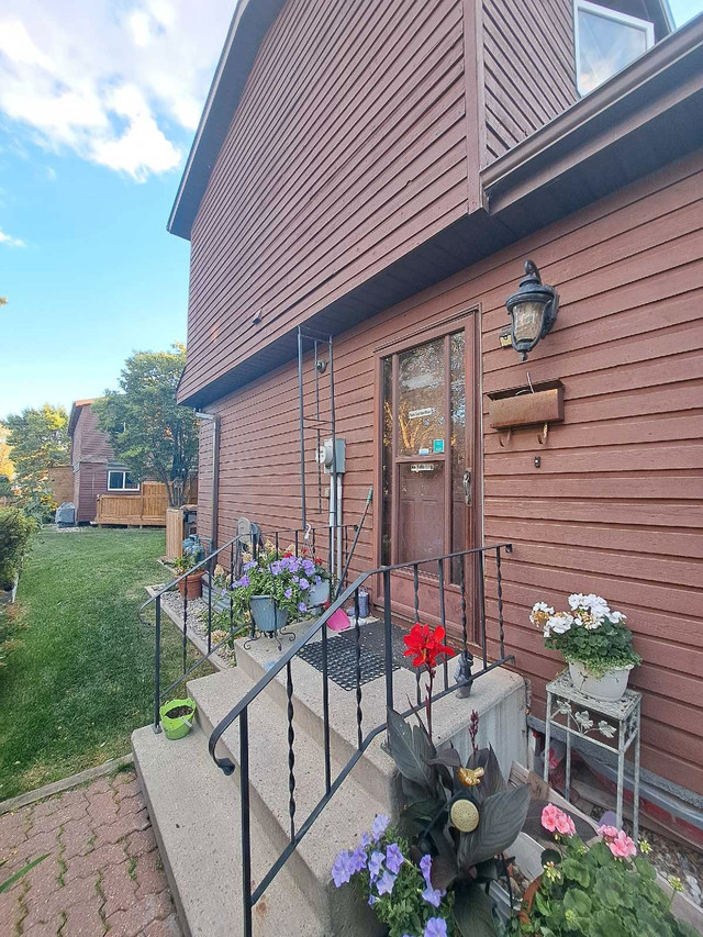 Room For Rent (Basement) in Long Term Rentals in Edmonton - Image 4