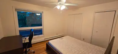BEDFORD HIGHWAY/MSVU AREA ROOM FOR RENT !