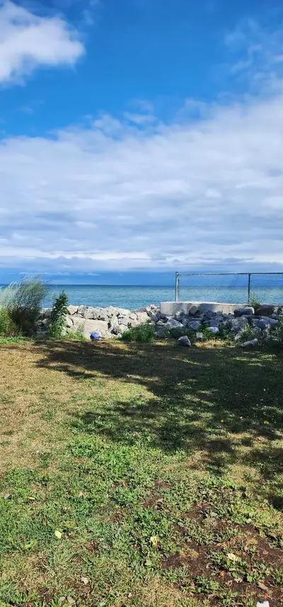 I need job for night cleaning restaurant, View more