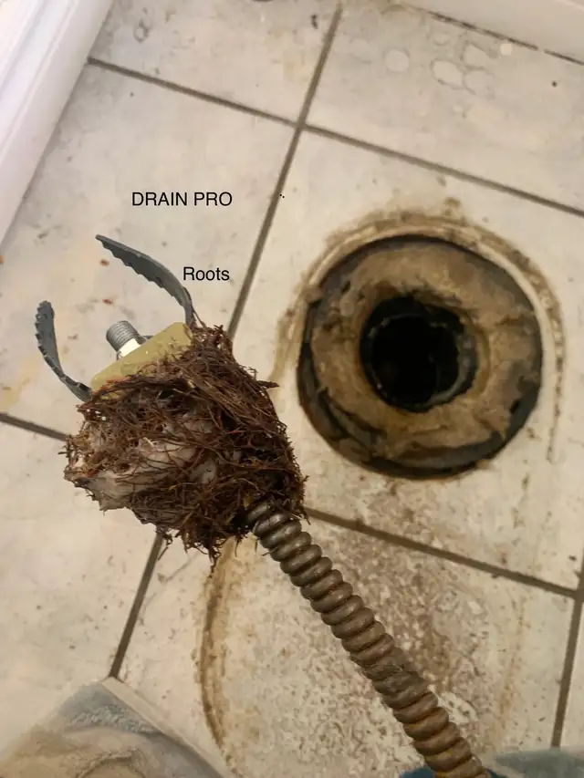 UNCLOG BLOCKED DRAINS ☎️ 416-523-8632  ☎️ PLUMBER REPAIRS64739289749249124