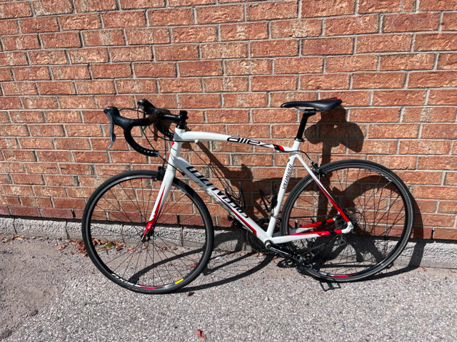 Specialized Allez Elite (58 CM) Endurance Road Bike in Other in Markham / York Region - Image 2