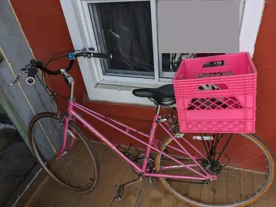 PINK Skyline Women's Road Bike with Wide Handlebar WITH MILKCRATE Purchased from Le Petit Velo Rouge...
