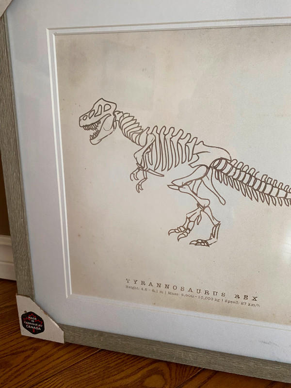 NEW T-Rex dinosaur picture print grey framed gray in Arts & Collectibles in Edmonton - Image 3