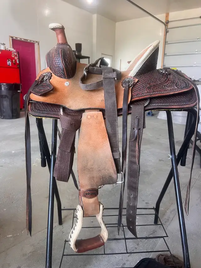 western saddle  in Horses & Ponies for Rehoming in Cranbrook - Image 2