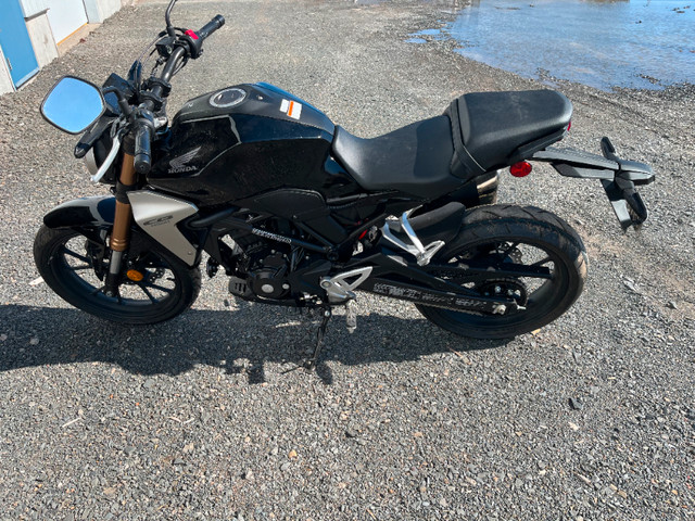 2022 Honda CB300R cocktail class racer for sale - mint in Street, Cruisers & Choppers in Fredericton