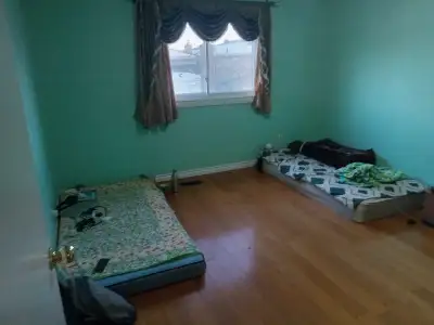 2 rooms for rent