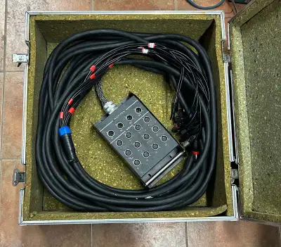 Microphone Snake - 100' 12x4 XLR Fan To Box Snake W/Road Case, View more