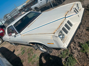 1973 Pontiac Grand-Am