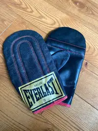 Everlast Boxing Gloves 43126