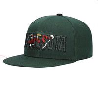 Minnesota Wild Youth Snap Back Hat