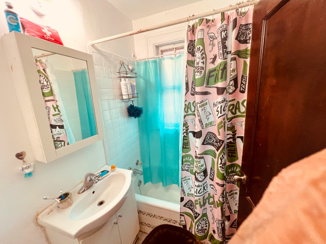 Near University of Windsor 2 Bedroom Apt in Long Term Rentals in Windsor Region - Image 4