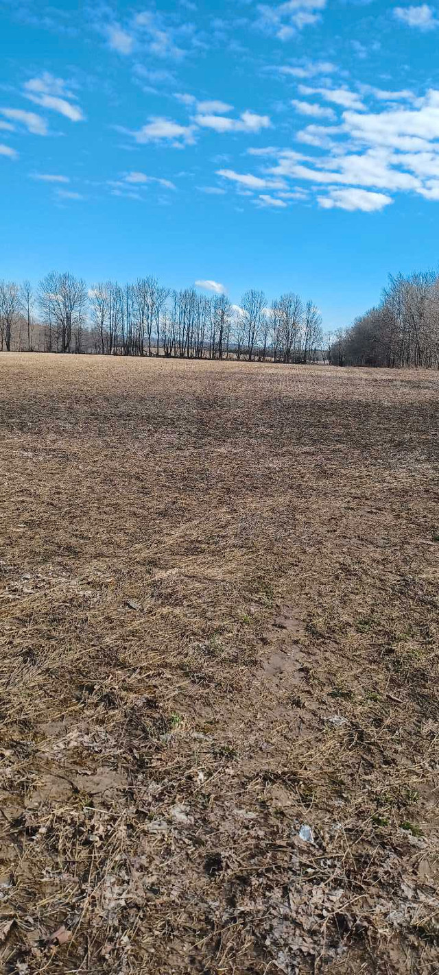 Farm land in Land for Sale in Owen Sound - Image 2
