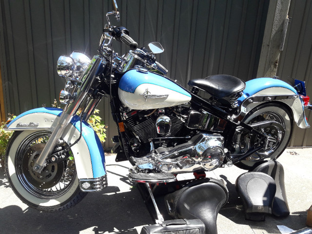 1996 Harley Davidson  F.LS.T.N with many many extras. in Street, Cruisers & Choppers in City of Toronto - Image 2