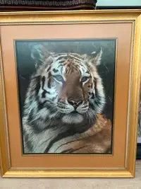 wild life art by Carl Brenders  “Last Watch” - Tiger