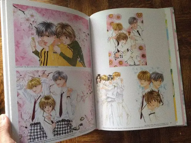 The Art of Hana-Kimi (Hardcover) in Comics & Graphic Novels in Kingston - Image 4