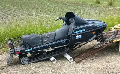 1996 Ski-doo skandic with reverse - Rotax 503r Will start and run - needs a gas tank repair and prob...