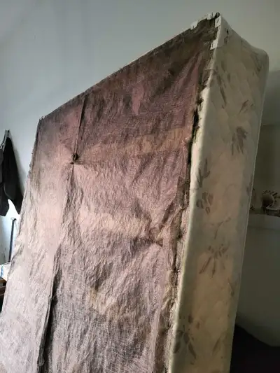 Queen boxspring, View more