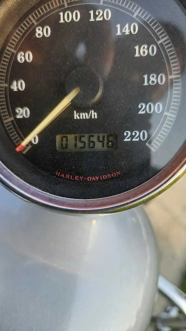 Harley Davidson Sportster 883 in Other in Thunder Bay - Image 6