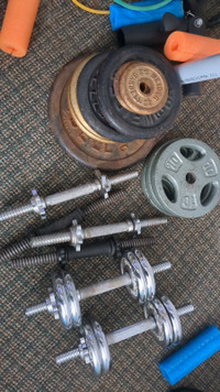 Standard 1" Weights 