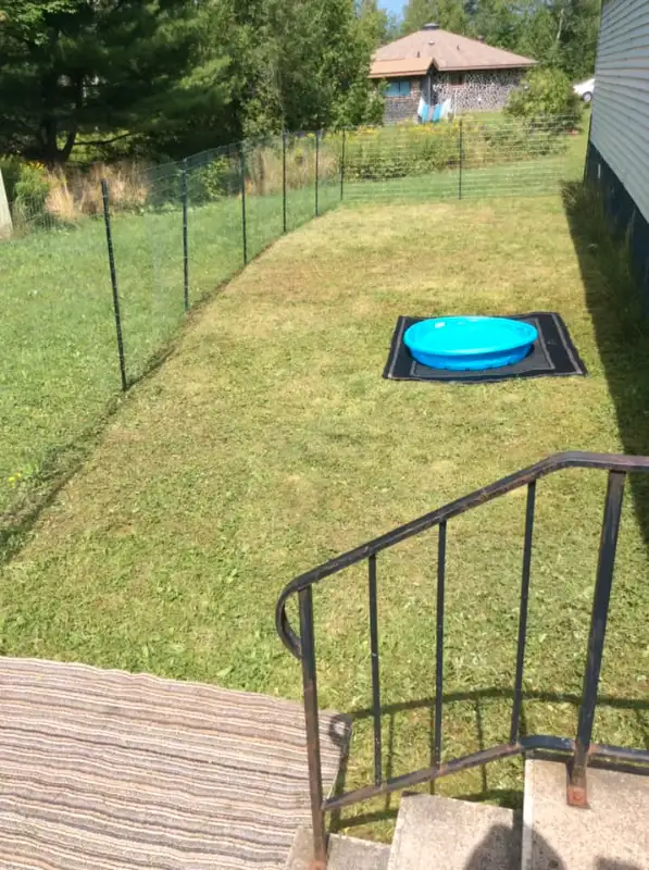SMALL/MED PET DOG SITTER $35 day/night in Animal & Pet Services in Saint John - Image 11