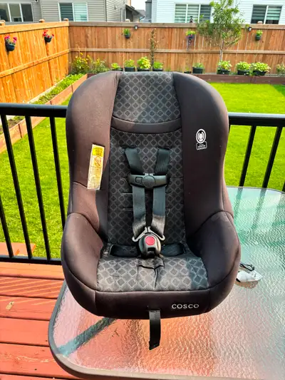 Cosco Toddler Car Seat, View more