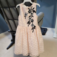 Toddler girl pink dress with hearts and flowers 3T