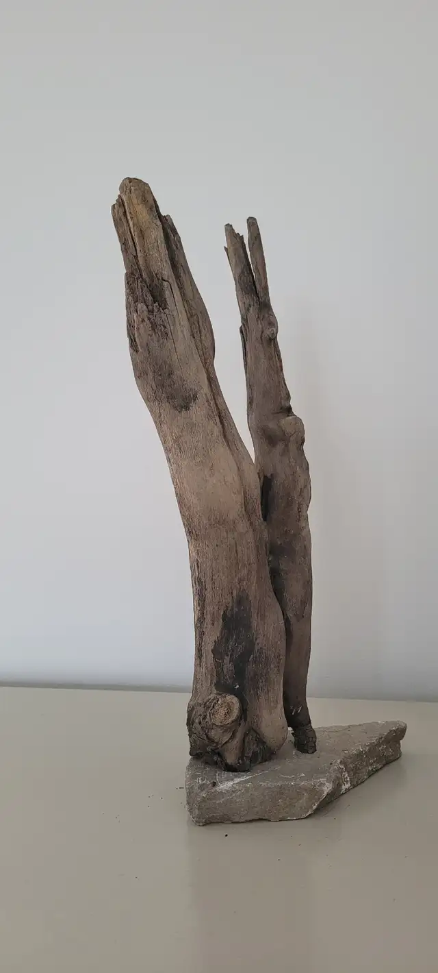 Bois Flotté Accessoire sur base Aquarium Driftwood w/base in Hobbies & Crafts in Laval / North Shore - Image 7