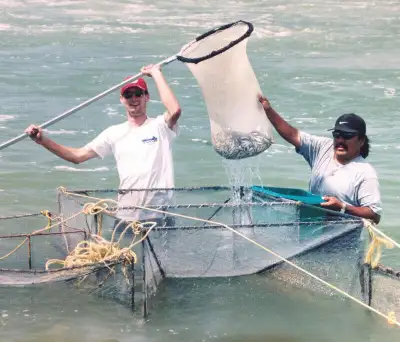 Minnow business for sale in Fairford Dam area, View more