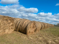 Hay Bales for SALE
