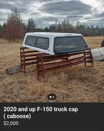 Truck Cap (Caboose) for Ford F150 2020 and up. Was installed for 1 year. Like new.