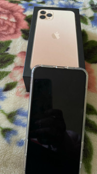 IPhone 11 Pro Max 256 GB Storage,  Good as New