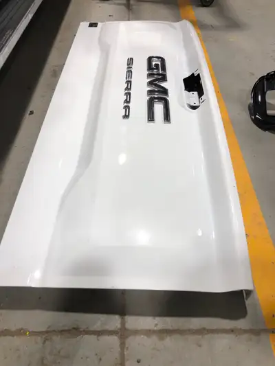 Have a tail gate (shell only) for a 2024 GMC sierra, currently white with a minor dent. Can be sold...