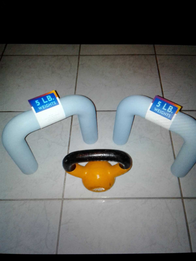 3x weight training items for $20 total  in Exercise Equipment in City of Toronto