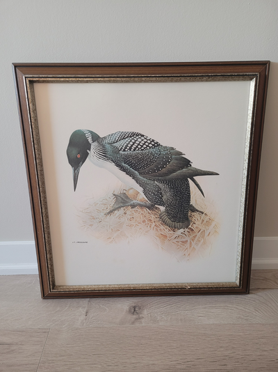 J.F. Lansdowne Loon Lithograph, View more