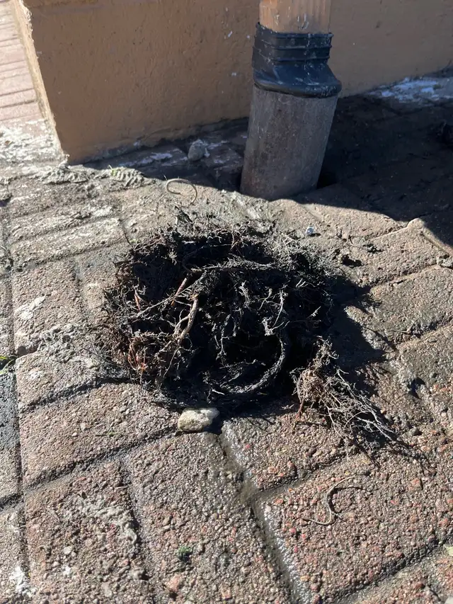 24/7 Drain Cleaning & Camera Inspections- 226 724 7403 in Plumbing in Windsor Region - Image 9