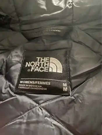 THE NORTH FACEWOMEN WINTER JACKET-SIZE M62863272345729123