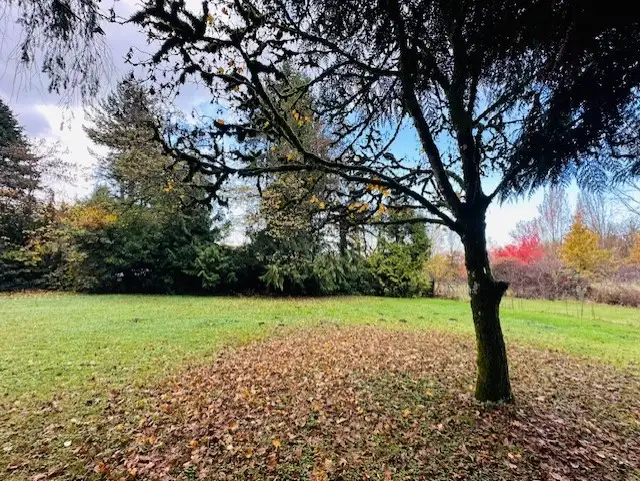 Lovely Family Acreage Home With Wonderful Views in Cloverdale in Land for Sale in Delta/Surrey/Langley - Image 7