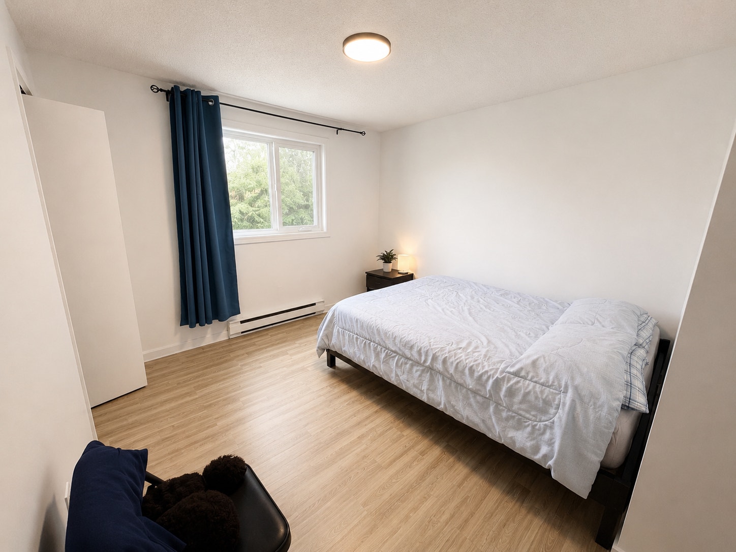 5.5 DISPONIBLE MAINTENANT | SECTEUR MONT-BELLEVUE — photo 3