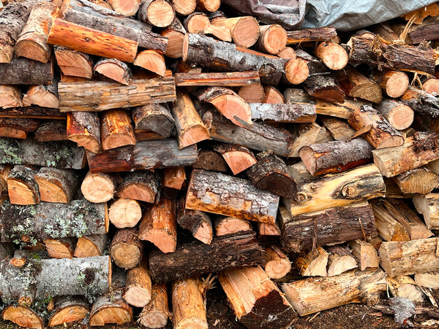 Firewood for sale in Fireplace & Firewood in Comox / Courtenay / Cumberland - Image 2