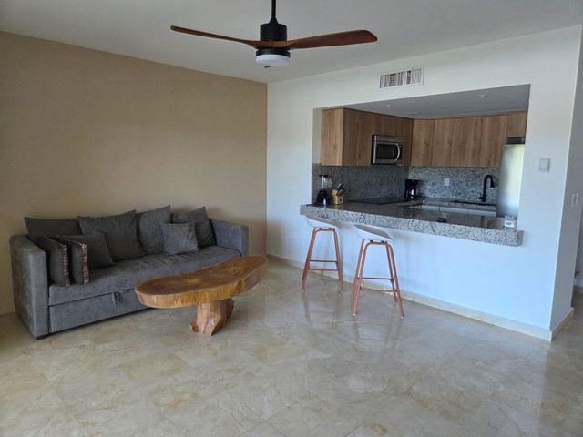 1 Bedroom Condo in Mexico - Image 3