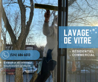 Lavage de Vitres/Window Cleaning