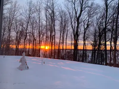 FREE WOOD / FIREWOOD / TIMBER, View more